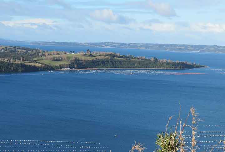 10) Equador - De acordo com um relatório da ONU, o Equador é o país mais perigoso da América do Sul, com uma taxa de homicídios de 26,99 por 100 mil habitantes. 