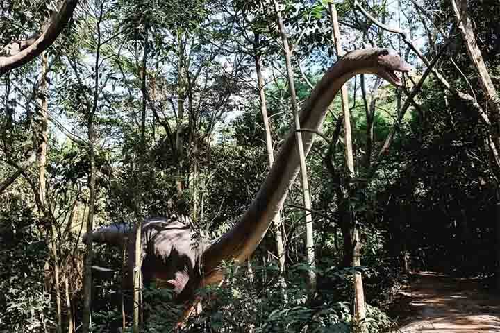O Terra dos Dinos ocupa quase 100 mil metros quadrados, com uma área de mais de 1,5 milhão de metros quadrados de floresta. Um ambiente que lembra o universo dos dinossauros, sobretudo o filme Jurassic Park.