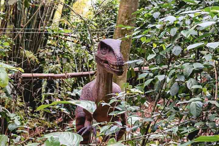 Marcio Trigo, que já dirigiu artisticamente diversas produções da TV Globo, foi o responsável por dar vida ao parque.