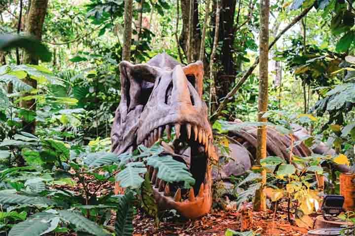 Mais da metade dos visitantes do parque ainda é do estado do Rio de Janeiro. No entanto, aos poucos, Marcio Clare acredita que consiga atrair turistas de outros estados, sobretudo São Paulo, que é o mais próximo.