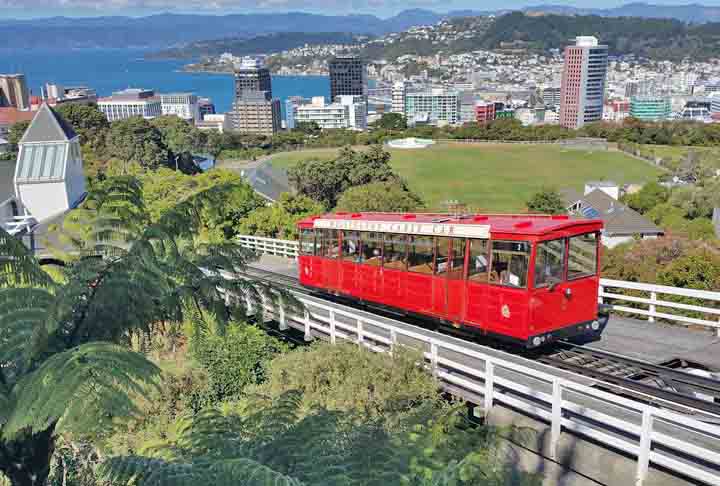 Há 2.000 anos estes animais se espalhavam pela Tasmânia, onde eram caçados pelos aborígines australianos. No início do século XIX, porém, os caçadores europeus extinguiram os elefantes marinhos no sul da Austrália. Mas, na década de 1980, estes animais vo