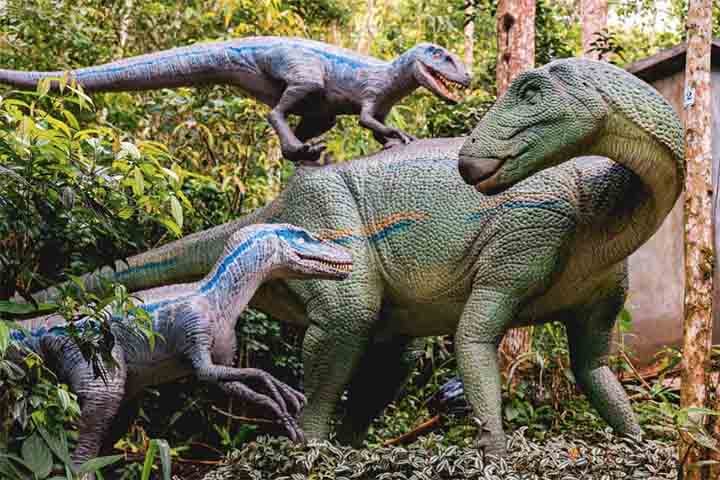 Os visitantes também aprenderão de forma lúdica e divertida sobre paleontologia, fossilização e todos os tipos de dinossauros. Além de períodos da história e da terra, as espécies e muito mais. As atividades foram concebidas para despertar a curiosidade e