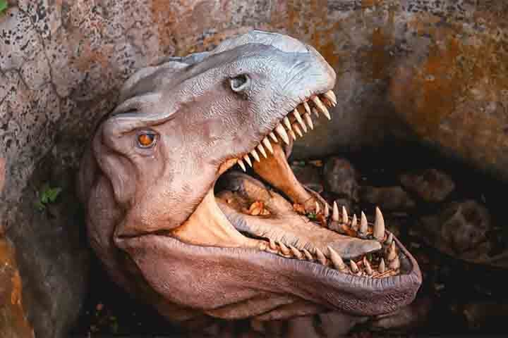 Vale destacar que os moradores do estado do Rio de Janeiro têm 50% de desconto. Há ainda o passe anual (R$ 179) que dá direito a acesso ilimitado ao parque e desconto nas atividades extras.