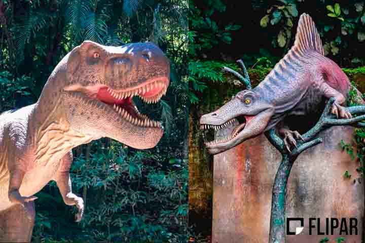 No primeiro ano de abertura (entre 2022 e 2023), mais de 350 mil pessoas já passaram pelo local e o faturamento atingiu R$ 25 milhões em 2023.