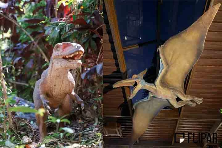 Além disso, os animais ficam espalhados pela trilha, que é feita a pé e cheia de surpresas. Um verdadeiro convite ao universo dos dinossauros, que embalou o cinema, sob a direção de Steven Spielberg e baseado no livro homônimo escrito por Michael Crichton