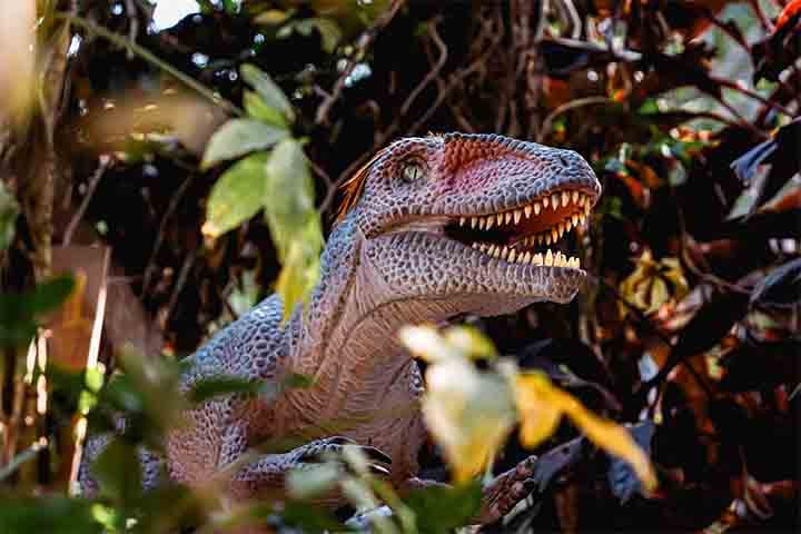 A Trilha Suspensa é um percurso com mais de 200 metros de extensão e pontos de até 10 metros de altura. O parque possui uma praça suspensa, com pontos de observação e contemplação da natureza.