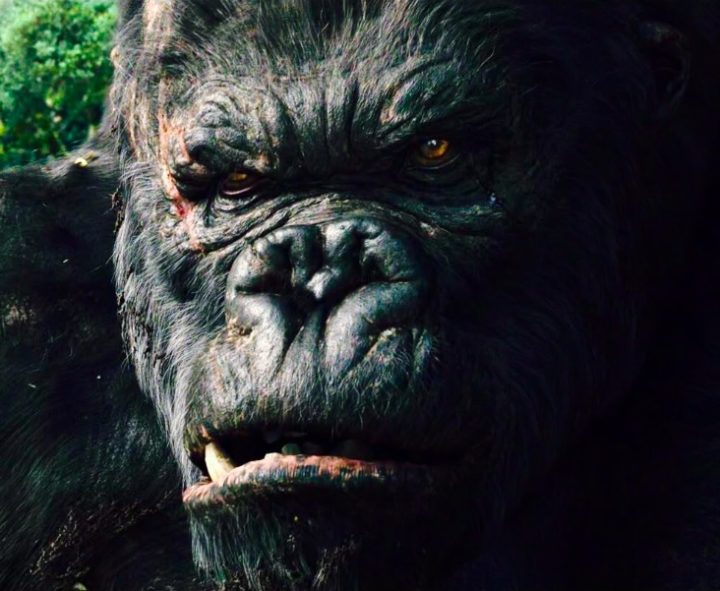 Porém, em 2005, o ator voltou a trabalhar com o diretor Peter Jackson (da trilogia O Senhor dos Anéis) em um personagem totalmente digital, dessa vez em King Kong.