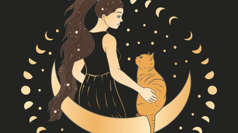 Astrologia também ajuda os tutores a entenderem a personalidade dos gatos (Imagem: Trigubova Irina | Shutterstock) 