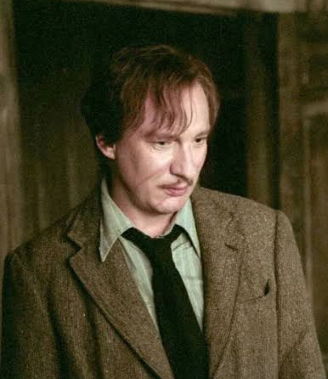 Conhecido como o professor Lupin da saga mágica de Harry Potter, David Thewlis começou a carreira em 1986 e desenvolveu uma carreira sólida, com uma versatilidade que o faz passear por diferentes gêneros. 