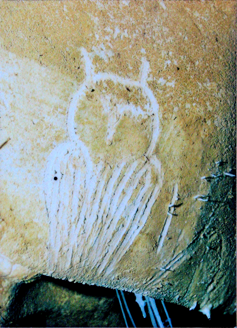 A coruja é frequentemente associada à sabedoria em diversas culturas, especialmente na mitologia grega, onde Atena, a deusa da sabedoria, era frequentemente representada acompanhada por uma coruja. 