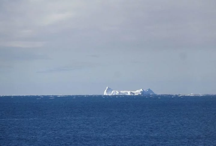 Recentemente, um grupo de cientistas descobriu um animal bem esquisito, parecido com uma aranha, no fundo do ‘Mar de Ross’, no fundo do Oceano Antártico.