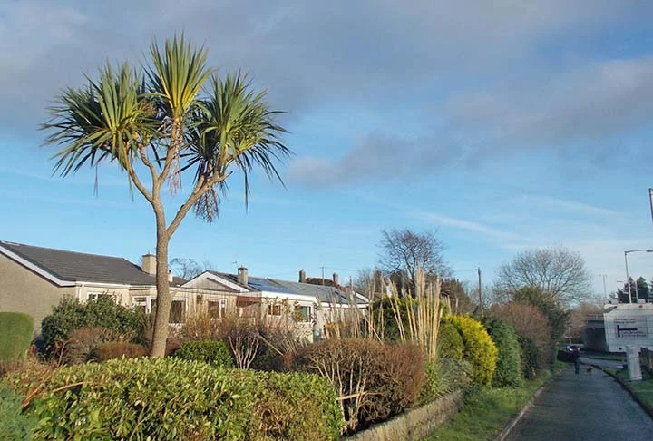 A cidade é arborizada e, por estar no País de Gales, tem clima úmido e com vento , uma característica da região. 