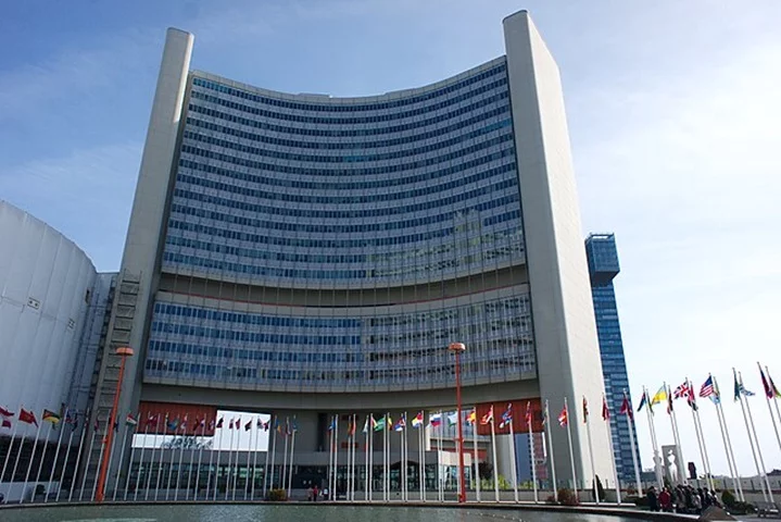 Viena é sede de diversas organizações institucionais, como a Organização dos Países Exportadores de Petróleo, Agência Internacional de Energia Atômica e a Organização para a Segurança e Cooperação na Europa, além de abrigar uma das quatro sedes da ONU. 