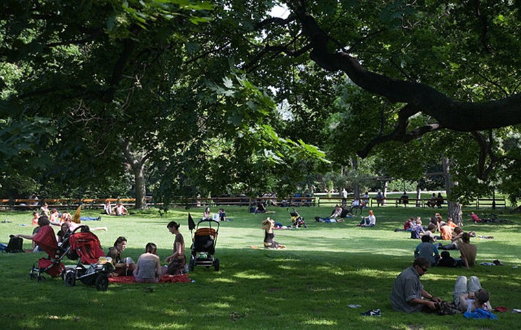 Viena possui quase mil parques espalhados em 13 mil quilômetros quadrados. No verão, os jardins ficam cheios.