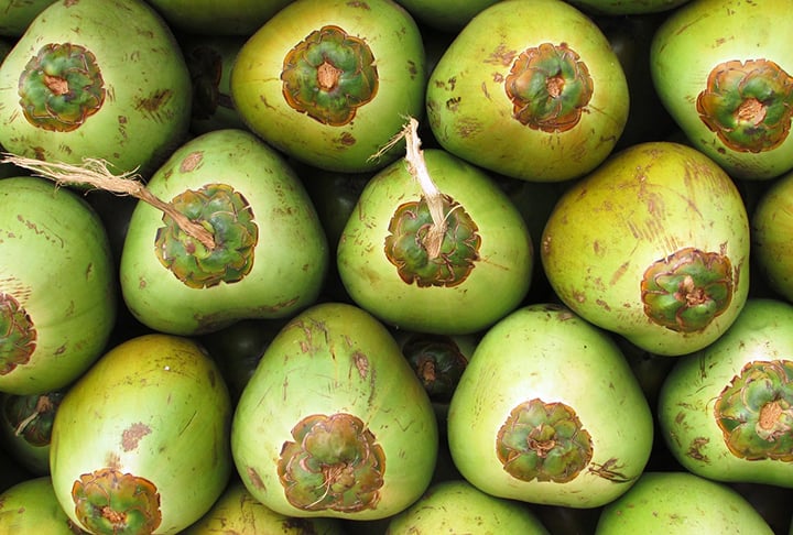 Alguns componentes do coco, como os ácidos graxos de cadeia média e o ácido láurico, têm propriedades antimicrobianas e antivirais, o que pode fortalecer o sistema imunológico.