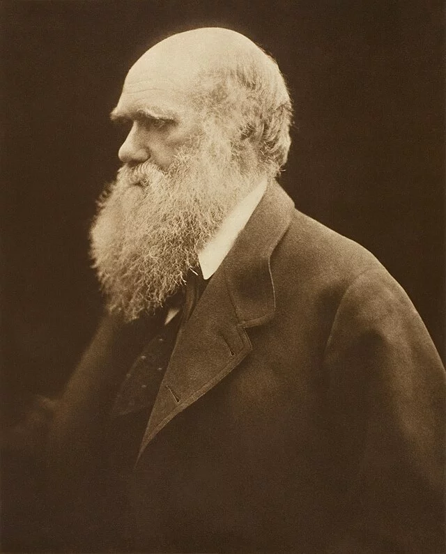A ilha é um dos lugares onde o inglês Charles Darwin fez pesquisas  para desenvolver a Teoria da Evolução. Segundo esse estudo, o homem evoluiu a partir da Seleção Natural, que determina a sobrevivência dos organismos capazes de adaptação às mudanças na N