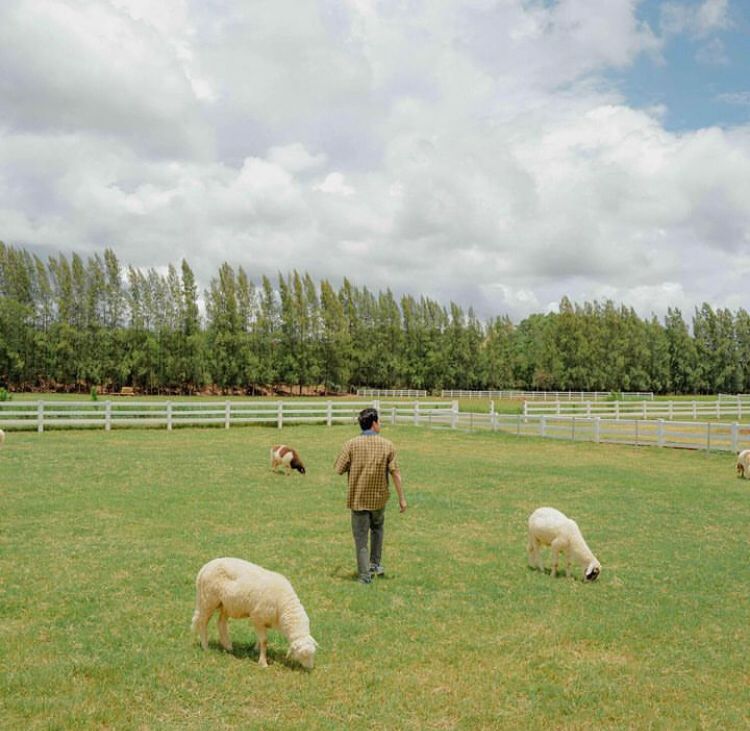 Os turistas que se hospedam no InterContinental Khao Yai também podem explorar o Parque Nacional Khao Yai, que costuma ser comparado aos grandes campos da Itália, por conta dos seus cafés, restaurantes e vinícolas.