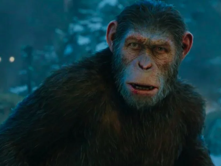 A atuação dele foi tão elogiada que muitos profissionais da indústria do cinema e críticos chegaram a clamar por uma indicação de Serkis ao Oscar.