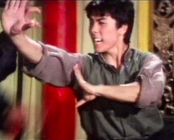 A estreia de Yen no cinema ocorreu em 1984, com o filme Xiao Taiji, cujo enredo é sobre um jovem (Donnie Yen) que aprende Tai-chi (um tipo de luta chinesa tradicional) para vingar a morte do pai e do irmão. 