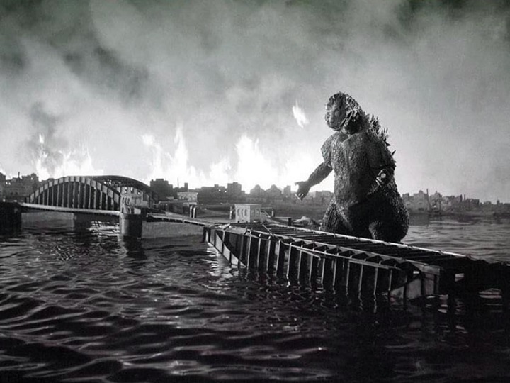 No enredo -- que serve de base para quase todos os filmes --, um monstro gigantesco e radioativo chamado Godzilla emerge do oceano e começa a atacar Tóquio, deixando um rastro de destruição em seu caminho.
