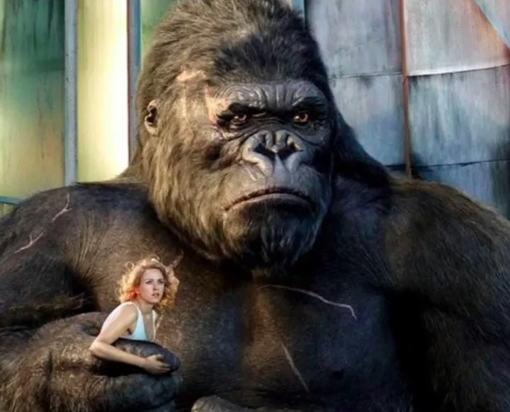 O filme foi um sucesso e venceu três Oscars, nas categorias de Melhor Mixagem de Som, Melhor Edição de Som e Melhores Efeitos Visuais, além de ter sido indicado a Melhor Direção de Arte.