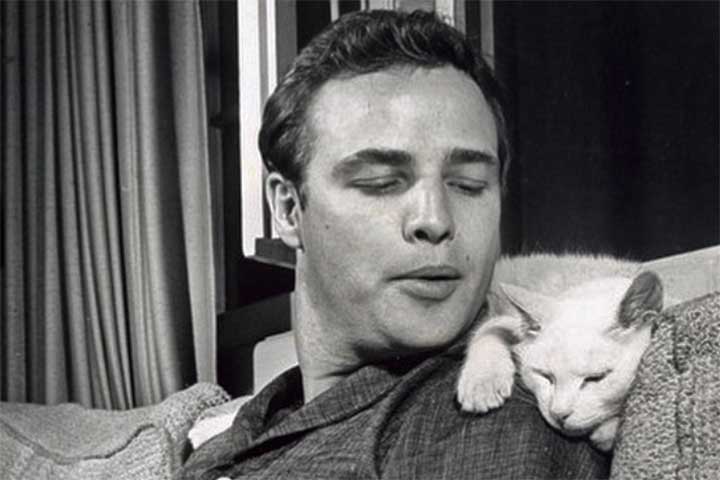 Brando usou suas habilidades do Sistema Stanislavski para seus primeiros papéis de verão em Sayville, Nova York e Long Island. Então, em 1944, o ator chegou à Broadway no drama A Vida de um Sonho, interpretando o filho de Mady Christians. 