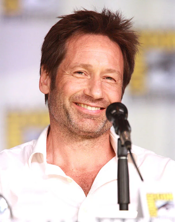 David Duchovny: O eterno agente Fox Mulder, da série “Arquivo X”, teve um certo envolvimento com o entretenimento adulto antes de ganhar projeção em Hollywood. Ele estrelou a série erótica “The Red Shoe Diaries”, na qual interpreta um apresentador que lê 