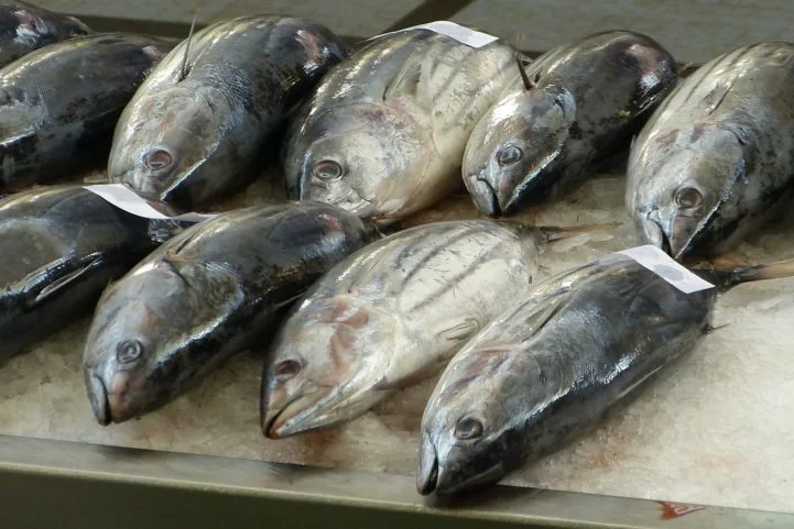 Atum - Peixe típico de regiões tropicais e subtropicais, habita todos os oceanos. É um dos peixes mais consumidos, pois, além da versão in natura, eles são vendidos em latas, com ou sem condimentos. 100 gramas de atum têm 130 calorias. 