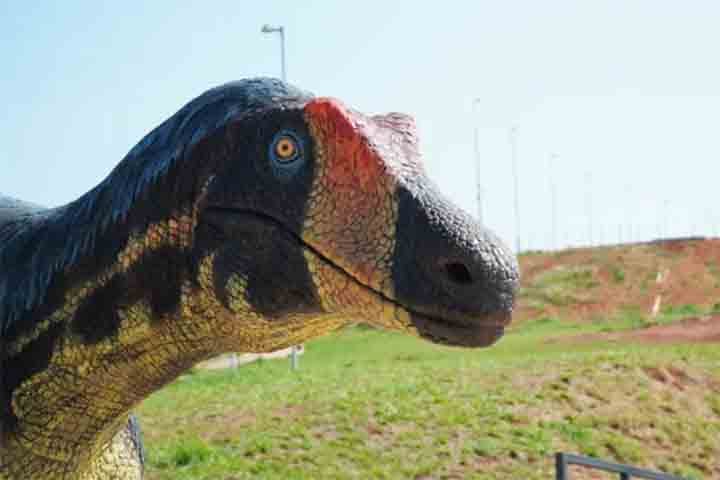 “O mundo irá conhecer Uberaba. Estou muito orgulhosa dessa conquista e, com certeza, por meio da chancela da Unesco considerando Uberaba como o primeiro Geoparque da região Sudeste, comentou a prefeita Elisa Araújo.