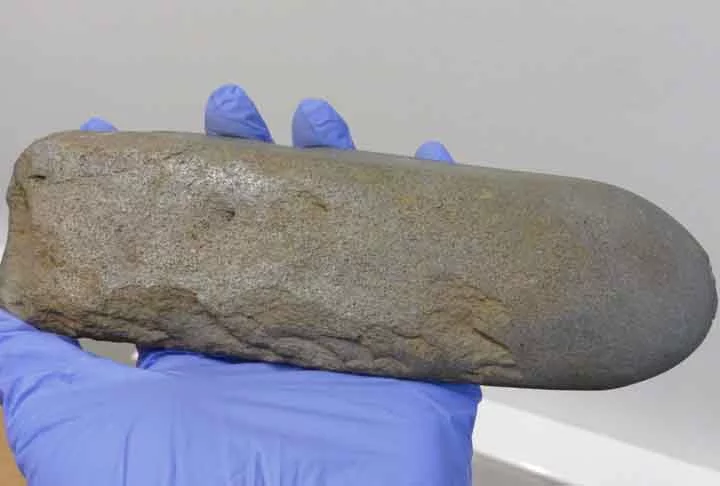 Muitas perguntas sobre Tainiaro permanecem sem resposta. Por enquanto, porém, a noção de que parece ter existido um grande cemitério perto do Círculo Polar Ártico deveria levar-nos a reconsiderar as nossas impressões sobre o Norte e o seu lugar periféric