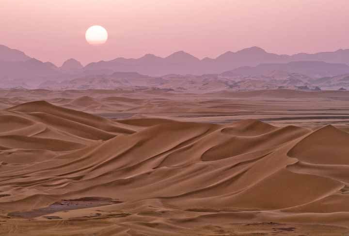 A África do Sul possui uma das maiores diversidades de flora do mundo, com mais de 20.000 espécies de plantas. O país abriga uma das maiores populações de vida selvagem do planeta, com reservas naturais e parques nacionais que preservam espécies ameaçadas