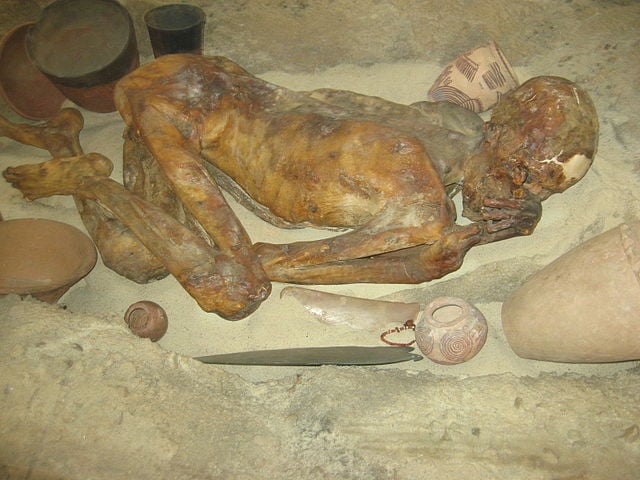  GINGER - Encontrada no Egito em 1896, viveu  há cerca de 5.500 anos. Apesar do nome, exames mostraram que trata-se de um homem entre 18 e 24 anos. Ele morreu com uma facada nas costas. 
