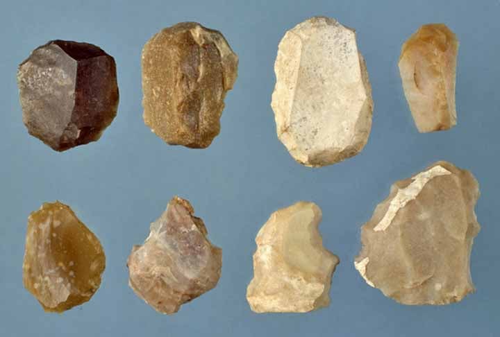 Durante o período paleolítico, os antepassados do homem começaram a se diferenciar dos outros animais. Os hominídeos eram essencialmente nômades e viviam da caça e da coleta, tendo que se deslocar em busca de alimentos. Eles produziram os primeiros instru