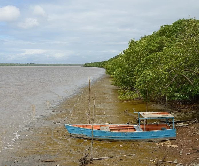 Segundo o Itamaraty, a Guiana Francesa é o segundo lugar na América do Sul com o maior número de brasileiros, ficando atrás apenas do Paraguai, que tem 254 mil.