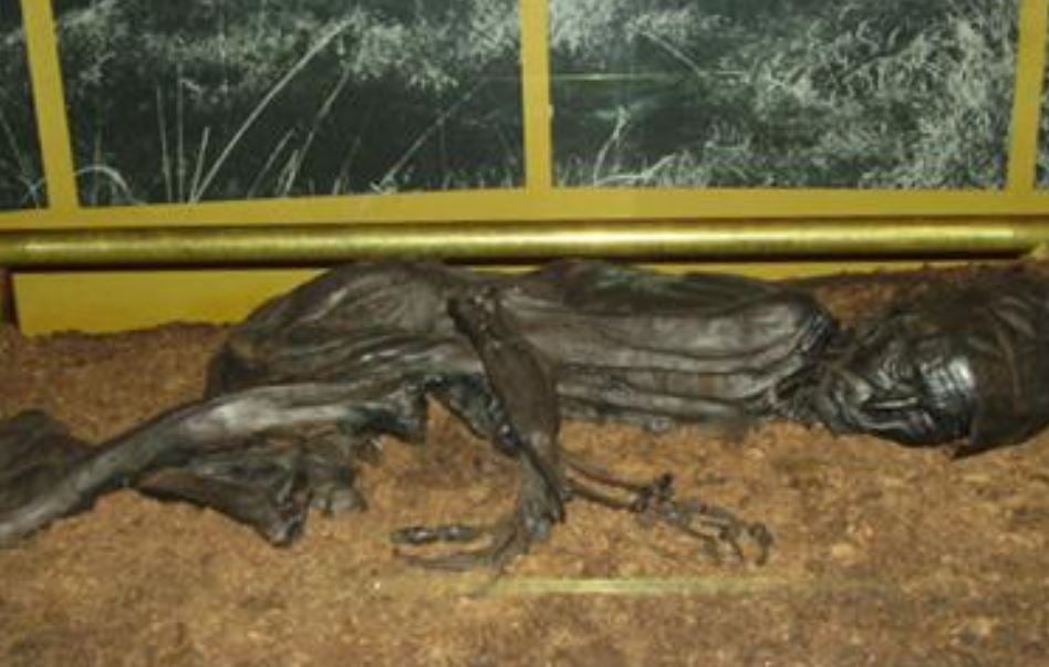 Suspeita-se que tenha sido sacrificado, pois estava em posição fetal com olhos e boca fechados. Tinha entre 30 e 40 anos, e 1,63m. Seu corpo encolheu no pântano.  