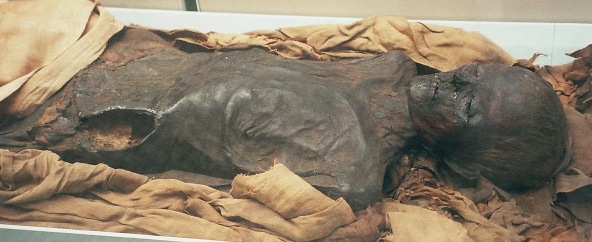 As múmias revelam aspectos da cultura, da alimentação, dos costumes de povos inteiros. São importantes fontes de conhecimento. 