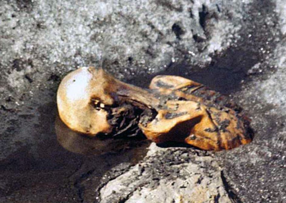 ÖTZI, o Homem de Gelo - Descoberto nos Alpes, no oeste da Áustria, em 1991. Os cientistas descobriram que ele tinha entre 30 e 45 anos, 1,62 metro e viveu na Idade do Cobre (há 5.300 anos!) 