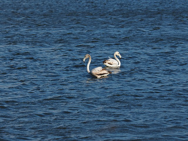 Uma equipe de especialistas encontrou o depósito de água doce cerca de 2,4 mil metros abaixo do nível do mar e com 17,3 quilômetros cúbicos de água.