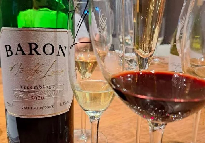 Já na primeira colocação, ficou o Baron Assemblage 2020, da Adolfo Lona, da região da Campanha Gaúcha.