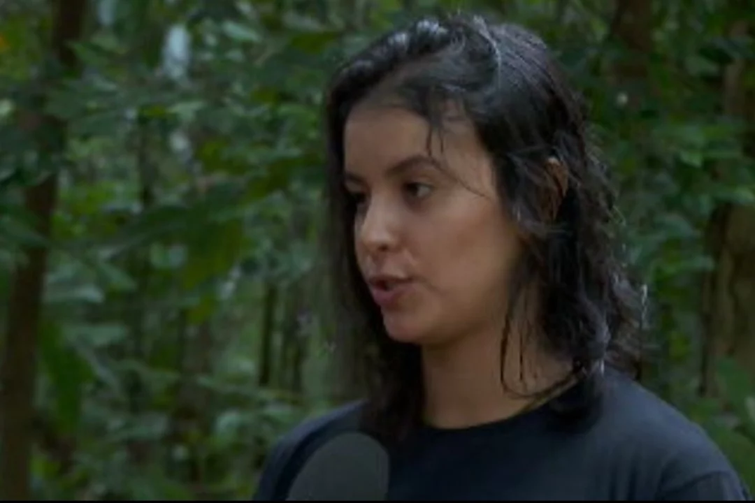 Porém, a diretora do instituto, Gabryella Mesquita, diz que o sapinho anda sumido de locais onde ele já havia sido localizado. Faz um ano, por exemplo, que a equipe não escuta o canto de nenhum foguetinho na zona rural de Goiânia.