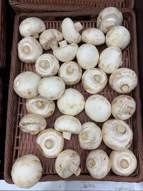 No Brasil, os tipos mais populares são: champignon, shimeji, shitake, portobello, cogumelo-de-paris e cogumelo-do-sol.