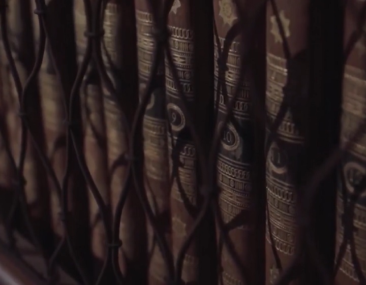 Todo o projeto recebeu apoio financeiro do Conselho Europeu de Pesquisa (ERC).