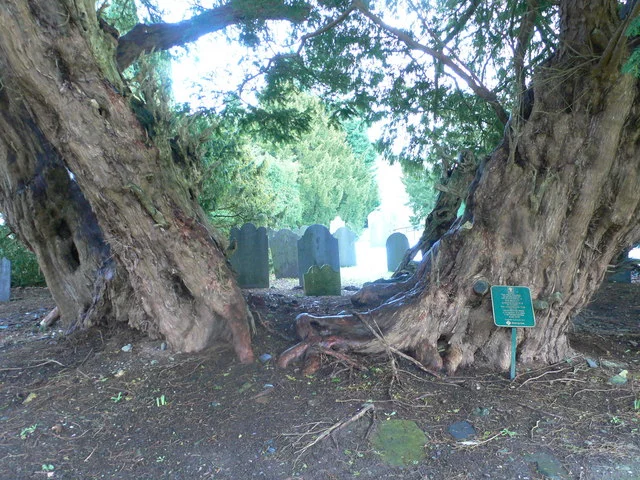 Fica na aldeia de Llangernyw, em Conwy, no País de Gales. E tem sepulturas ao seu redor. 