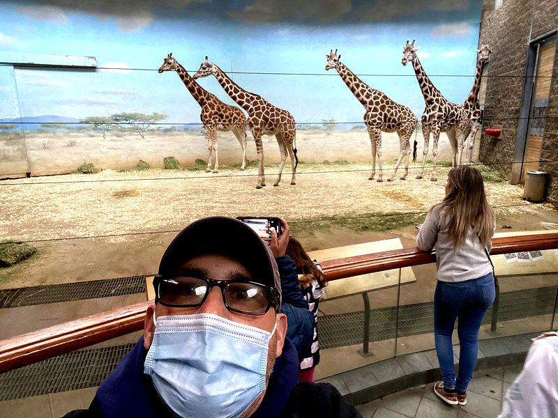 As áreas do zoológico reproduzem o ambiente de onde os bichos são originários, como florestas tropicais ou savanas africanas. Além disso, o parque também é um lugar para ajudar e preservar várias espécies.