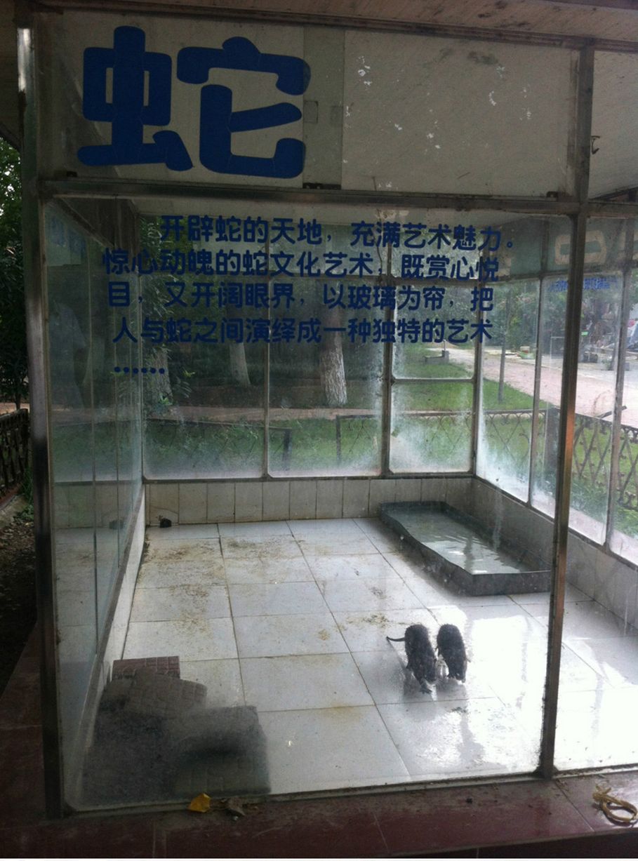 A instituição não tinha licença para funcionar e também disfarçava ratos de répteis exóticos.