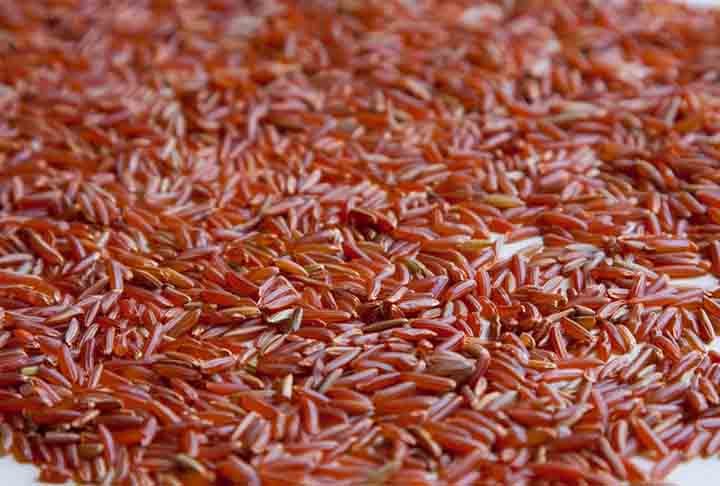 Arroz Vermelho- Rico em antioxidantes devido às antocianinas, oferece coloração e sabor característicos. Consumido em países como Tailândia e Camboja, é uma escolha exótica que combina bem com frutos do mar e carnes.