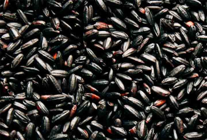 Arroz Negro- Com alto teor de antioxidantes, fibras e nutrientes, apresenta sabor marcante e textura firme. Consumido tradicionalmente na China e na Indonésia, destaca-se em pratos finos, harmonizando-se especialmente com carnes e vegetais.