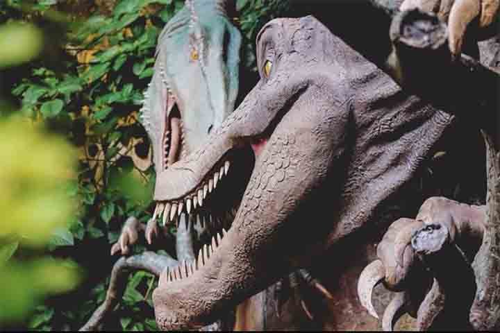 O empresário contratou nomes renomados, incluindo Alexander Kellner, diretor do Museu Nacional e referência em paleontologia no país.