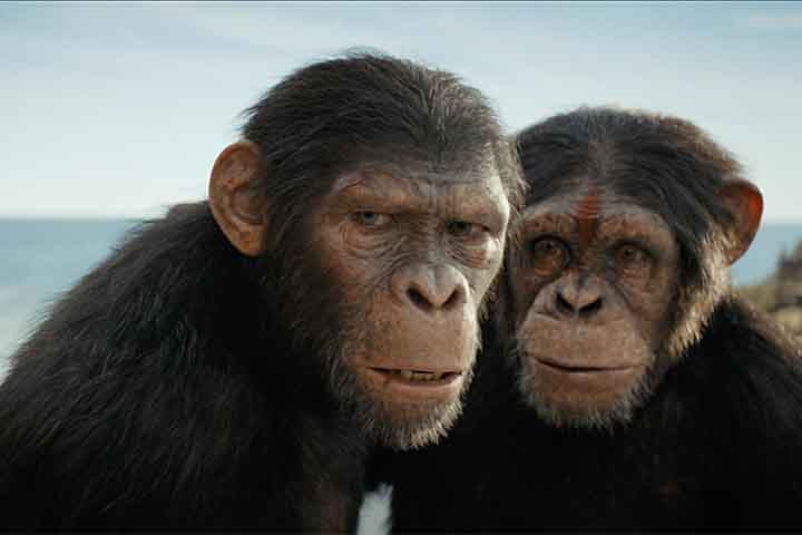 Nos Estados Unidos, o longa tem se destacado nos rankings de bilheteria, superando filmes aguardados como “Rivais” e ‘O Dublê” (este último estrelado por Ryan Gosling). 

