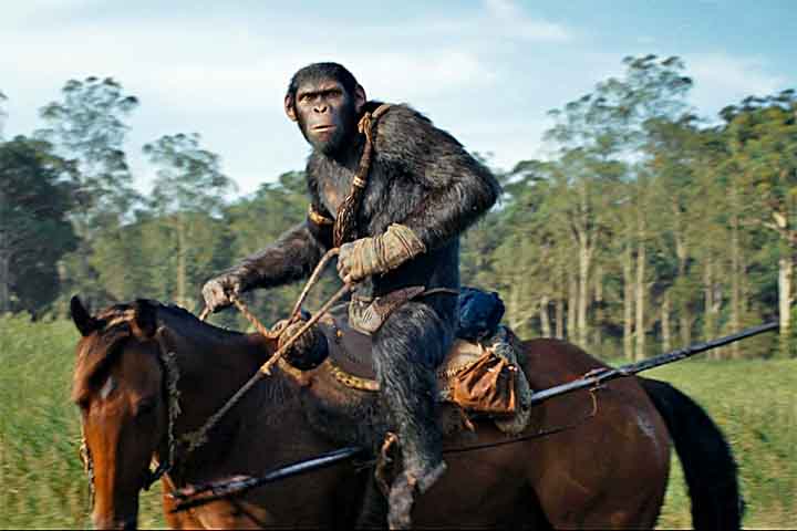  A sociedade dos macacos sofre uma ruptura e uma nova liderança tenta submeter grupos rivais para conquistar tecnologia dos humanos. 
